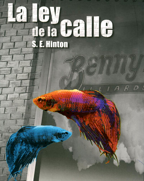Imagen de LA LEY DE LA CALLE